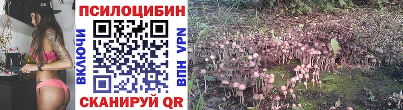 Псилоцибиновые грибы Cubensis  ссылка на мегу рабочий сайт  Анжеро-Судженск 